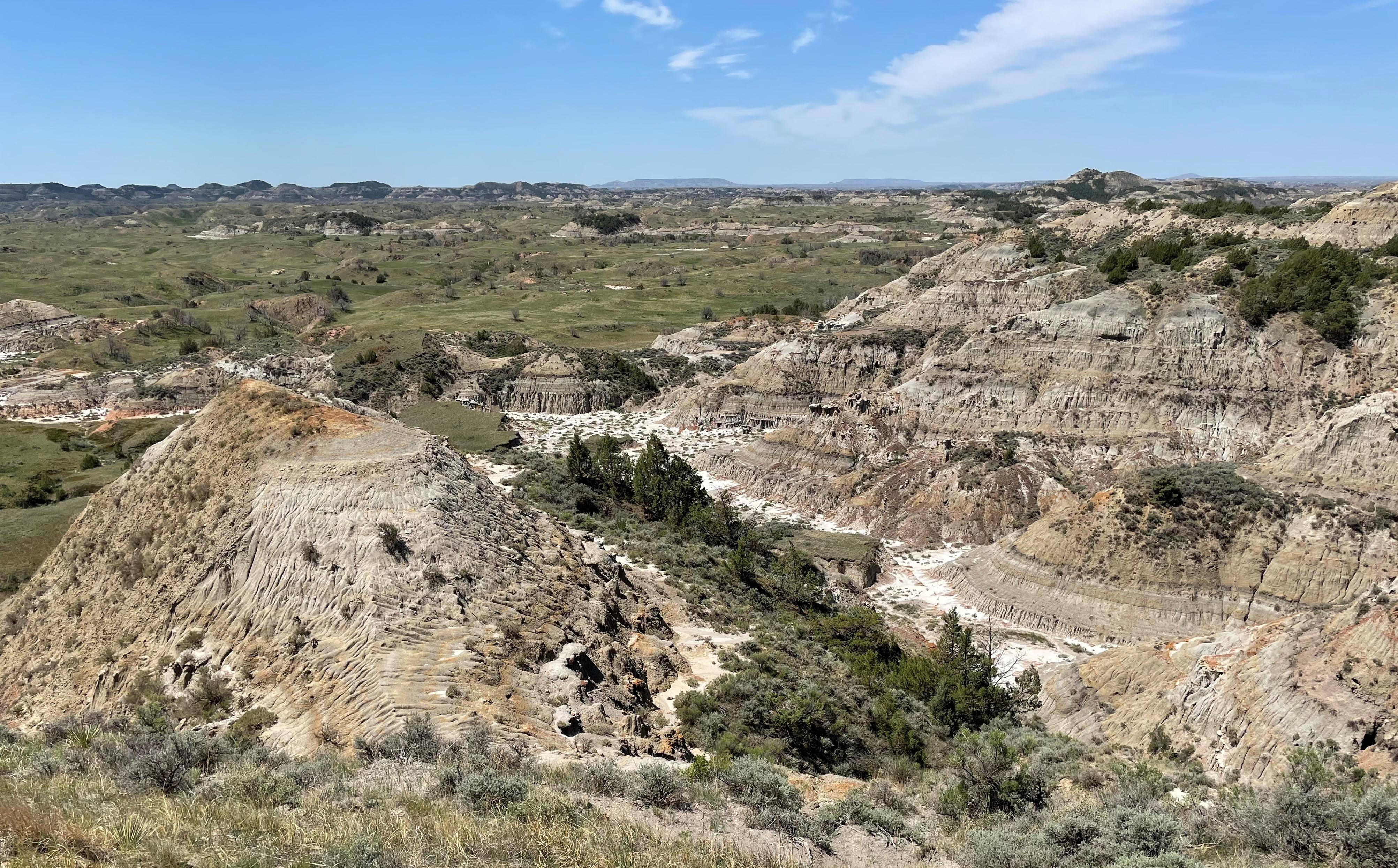 Theodore Roosevelt NP